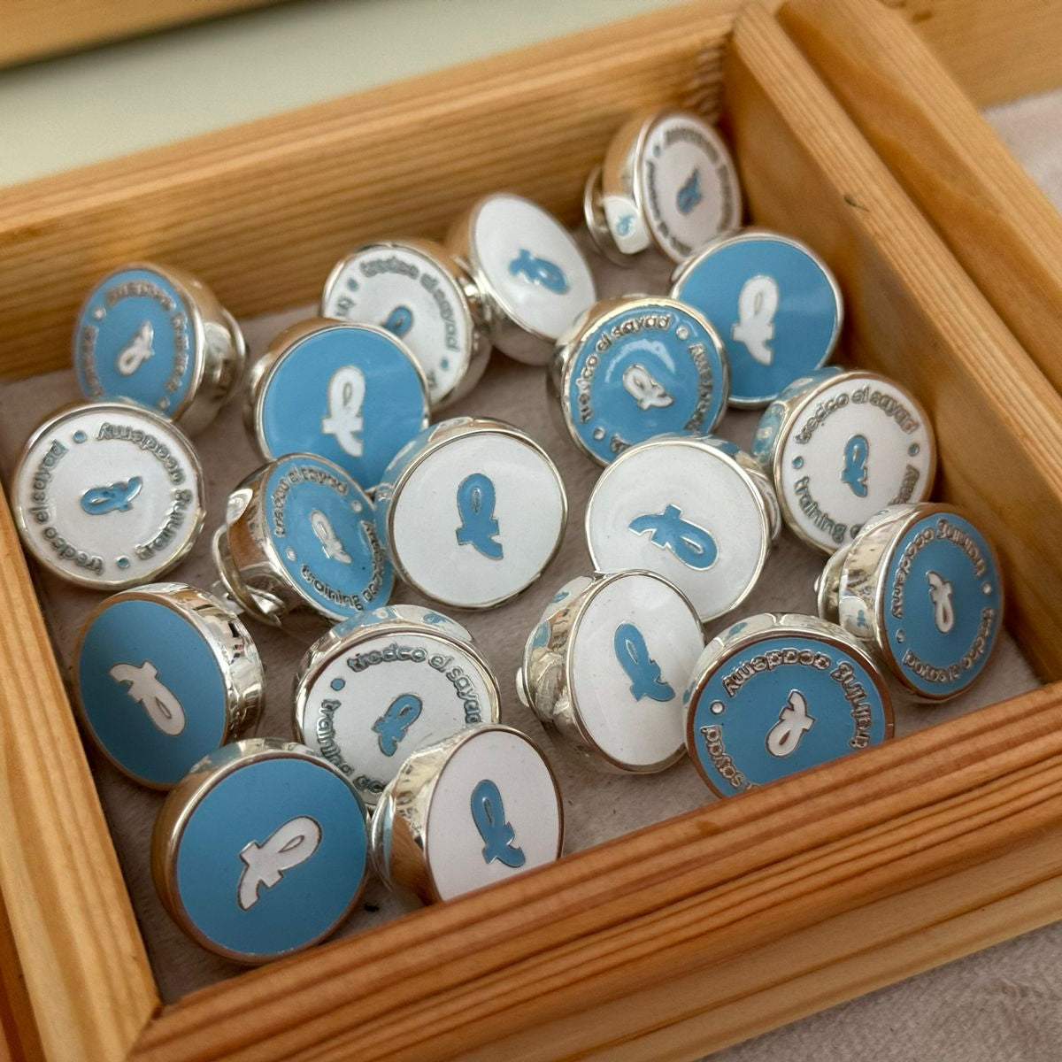 The Corporate Insignia Pins Collection